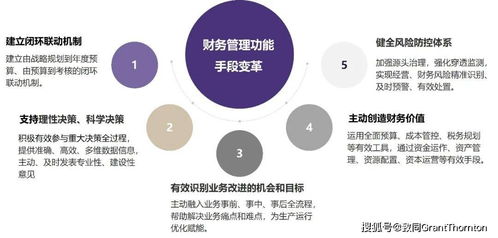 圖解 關(guān)于中央企業(yè)加快建設(shè)世界一流財(cái)務(wù)管理體系的指導(dǎo)意見(jiàn)